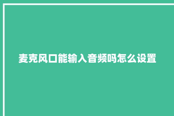 麦克风口能输入音频吗怎么设置