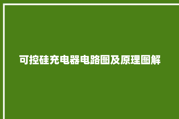 可控硅充电器电路图及原理图解