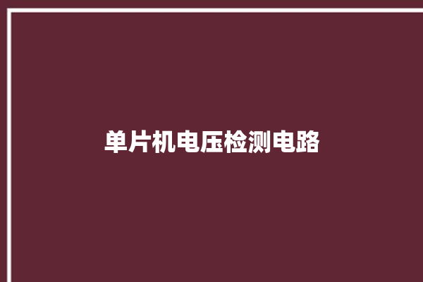 单片机电压检测电路