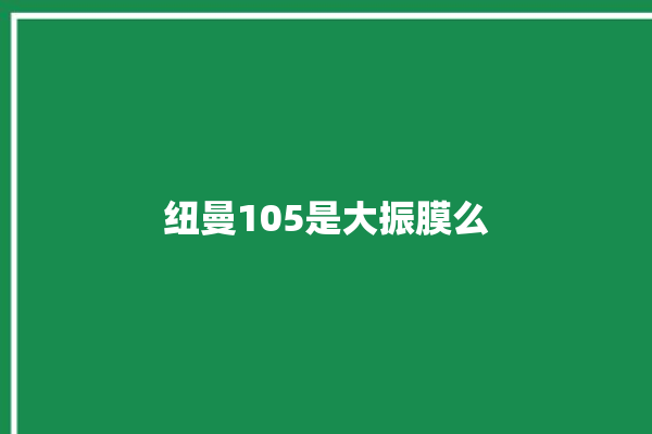 纽曼105是大振膜么