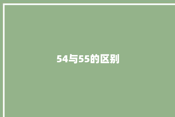 54与55的区别