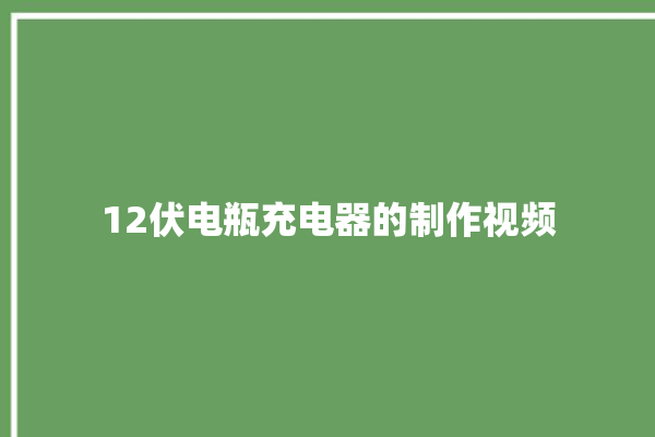 12伏电瓶充电器的制作视频