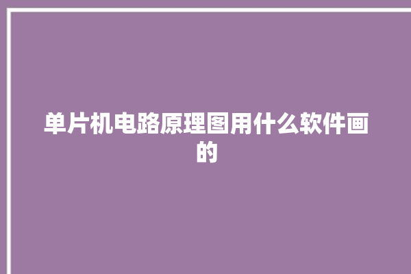 单片机电路原理图用什么软件画的