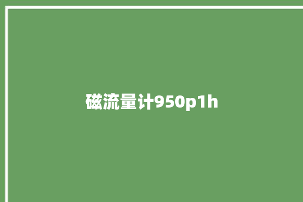 磁流量计950p1h