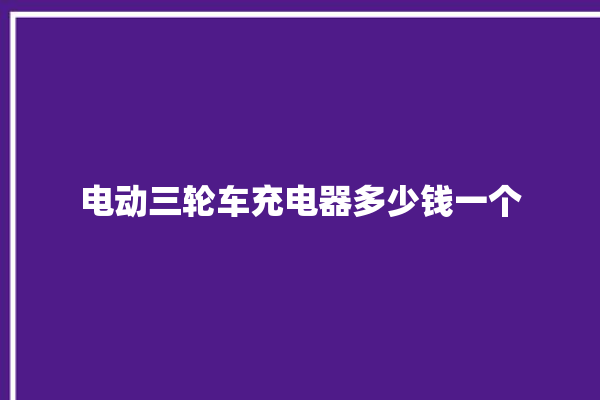 电动三轮车充电器多少钱一个