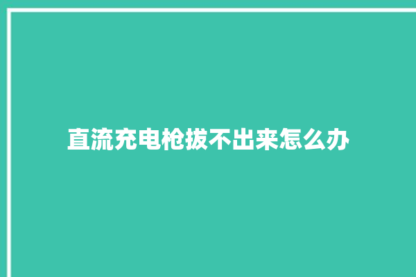 直流充电枪拔不出来怎么办