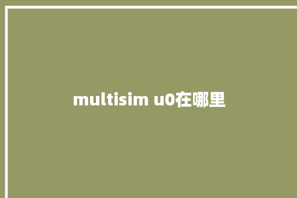 multisim u0在哪里