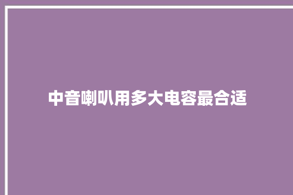 中音喇叭用多大电容最合适