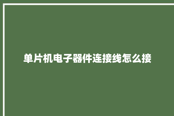 单片机电子器件连接线怎么接