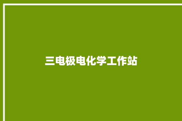 三电极电化学工作站