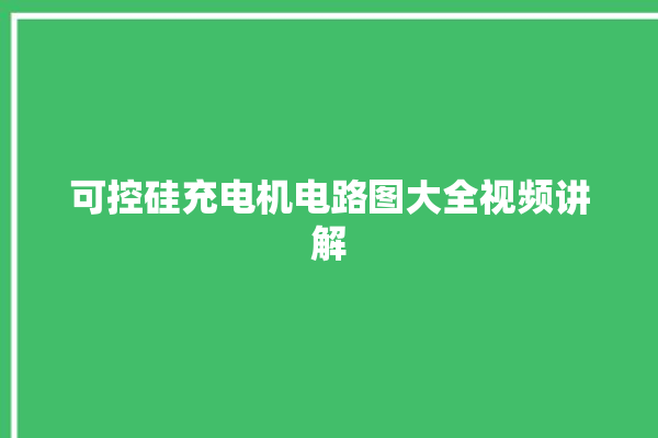 可控硅充电机电路图大全视频讲解