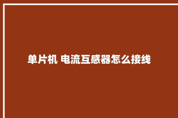 单片机 电流互感器怎么接线