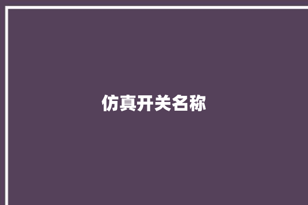 仿真开关名称