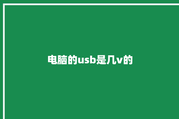 电脑的usb是几v的