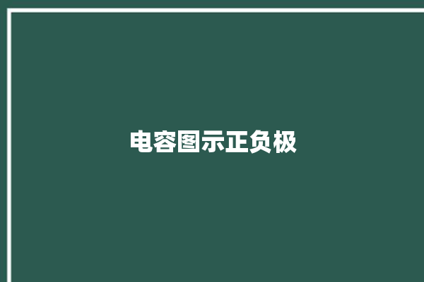 电容图示正负极