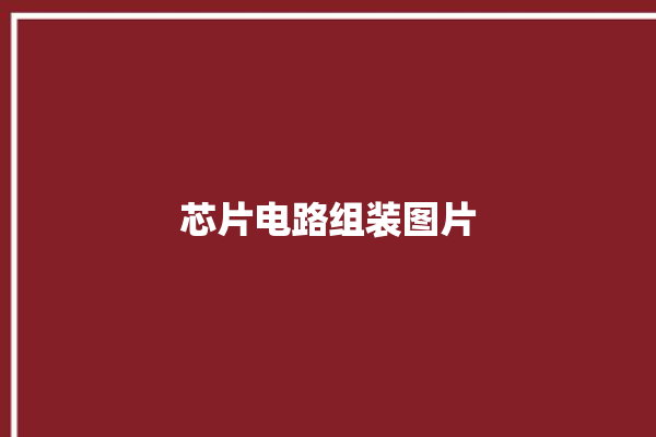 芯片电路组装图片