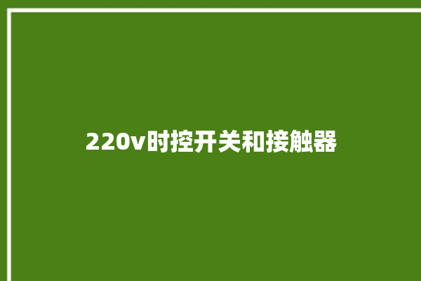 220v时控开关和接触器