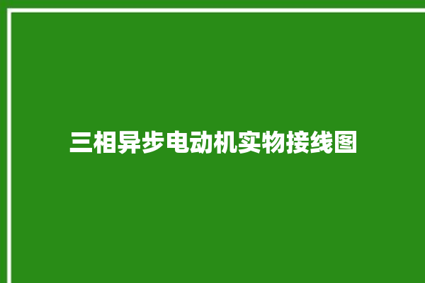 三相异步电动机实物接线图