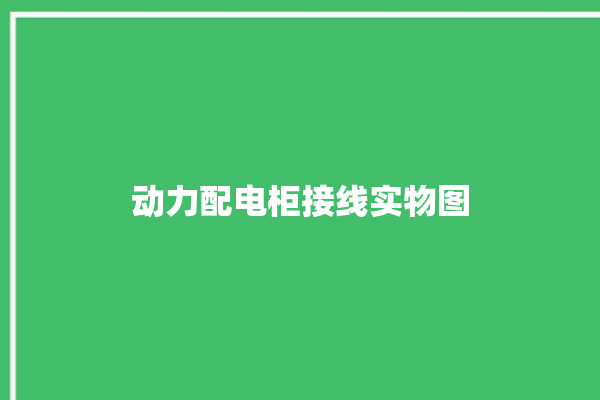 动力配电柜接线实物图