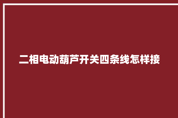 二相电动葫芦开关四条线怎样接