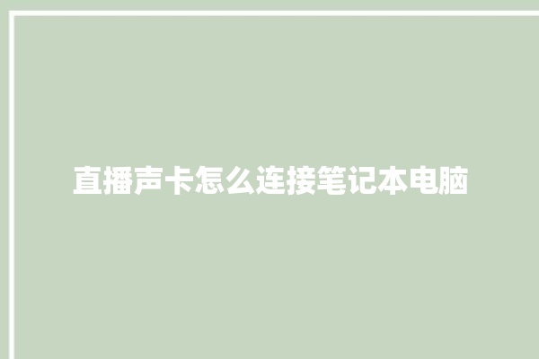 直播声卡怎么连接笔记本电脑