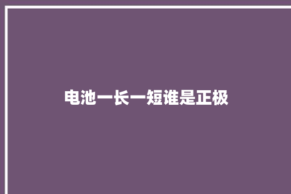 电池一长一短谁是正极