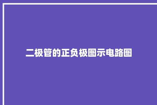 二极管的正负极图示电路图