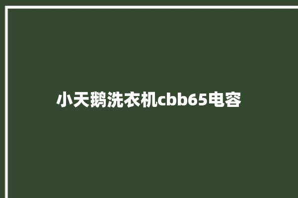 小天鹅洗衣机cbb65电容