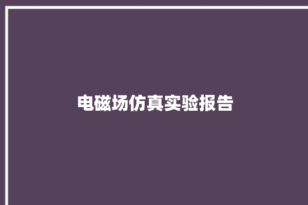 电磁场仿真实验报告