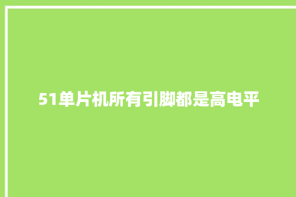 51单片机所有引脚都是高电平