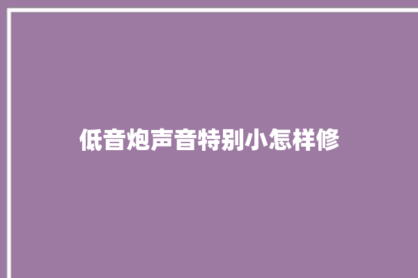 低音炮声音特别小怎样修