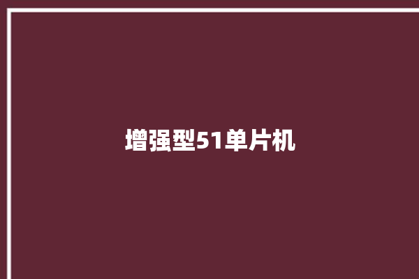 增强型51单片机