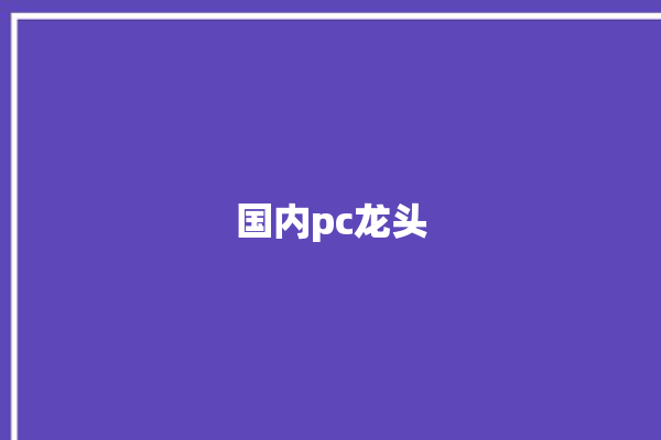 国内pc龙头