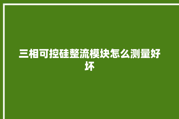 三相可控硅整流模块怎么测量好坏