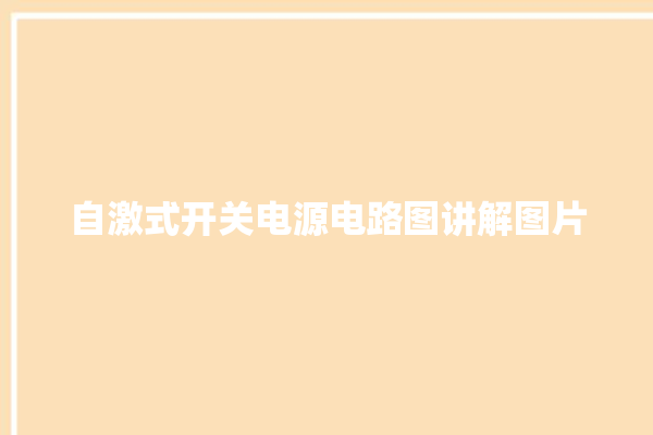 自激式开关电源电路图讲解图片