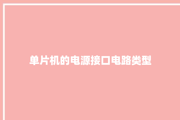 单片机的电源接口电路类型