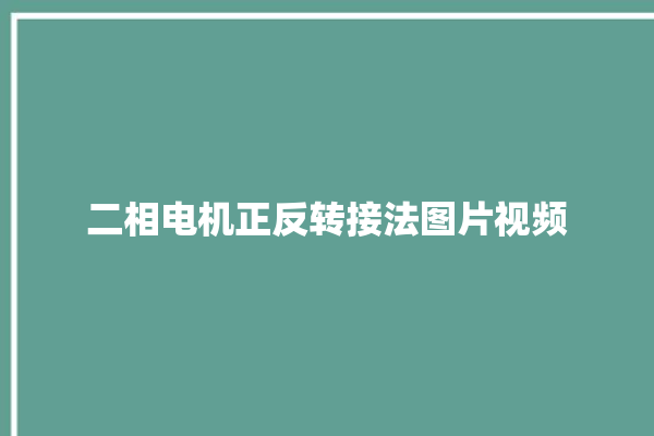 二相电机正反转接法图片视频