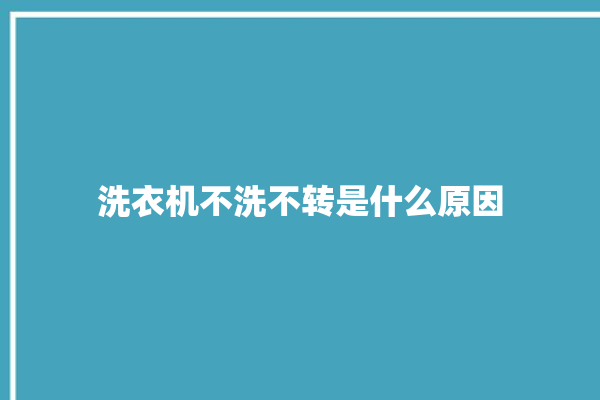 洗衣机不洗不转是什么原因