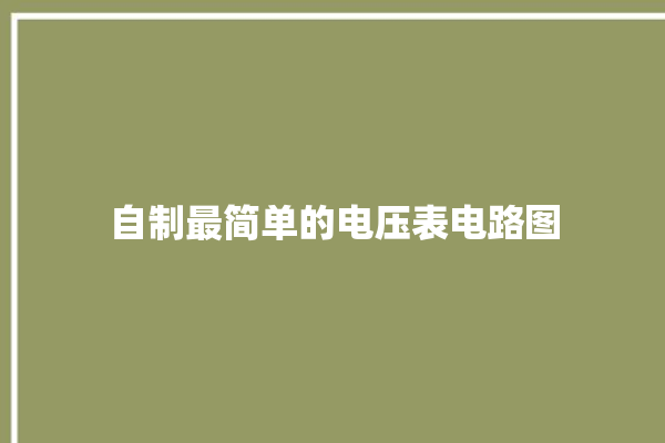 自制最简单的电压表电路图