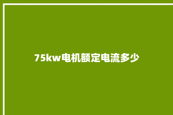 75kw电机额定电流多少