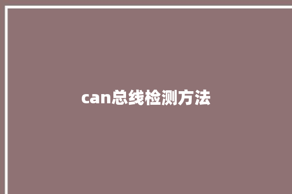 can总线检测方法