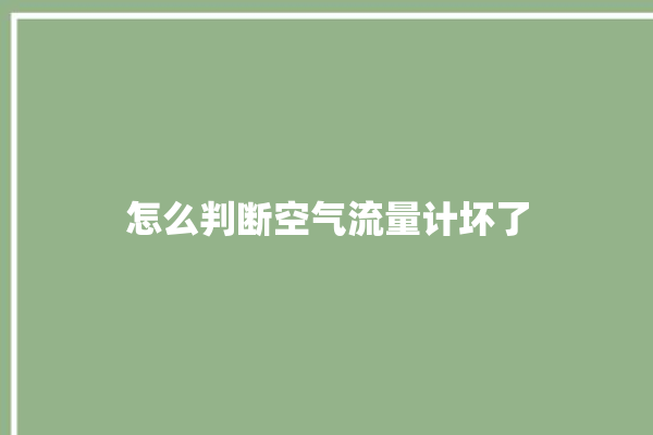 怎么判断空气流量计坏了