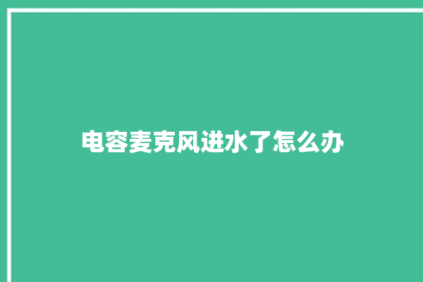 电容麦克风进水了怎么办