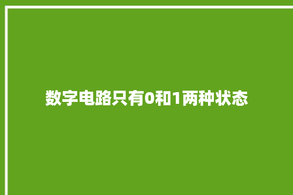 数字电路只有0和1两种状态