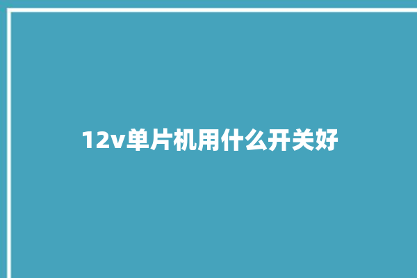 12v单片机用什么开关好