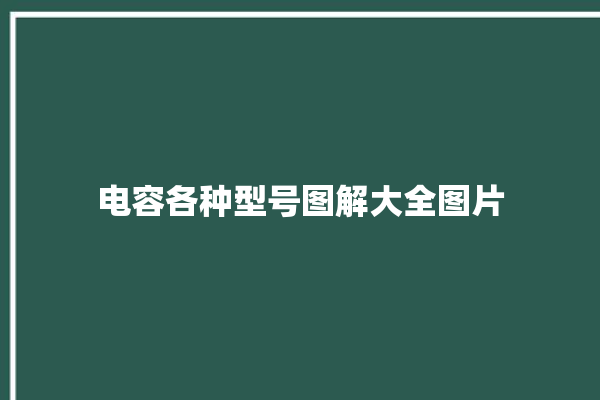 电容各种型号图解大全图片