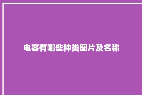 电容有哪些种类图片及名称