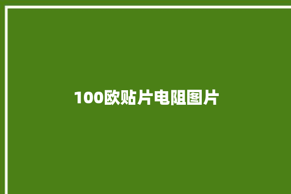 100欧贴片电阻图片