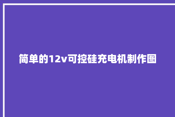 简单的12v可控硅充电机制作图