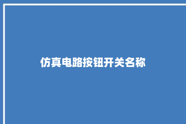 仿真电路按钮开关名称